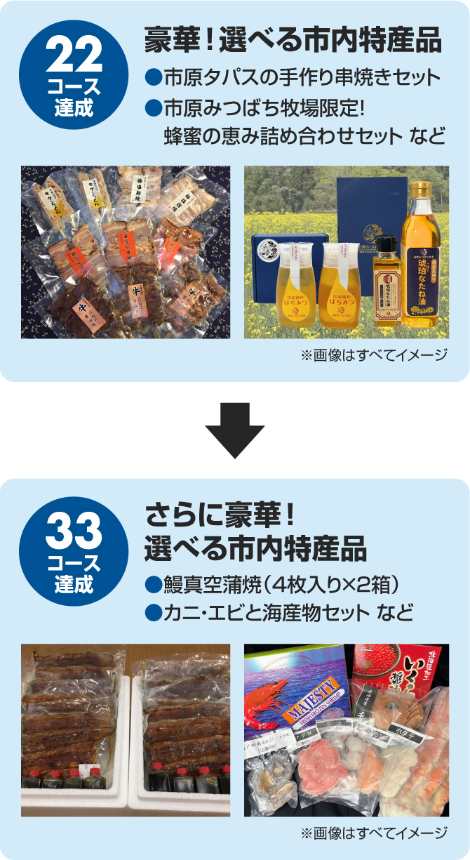 22コース達成：豪華！選べる市内特産品
							  ●市原タパスの手作り串焼きセット
							  ●市原みつばち牧場限定！蜂蜜の恵み詰め合わせセット など
							  33コース達成：さらに豪華！選べる市内特産品
							  ●鰻真空蒲焼（4枚入り×2箱）
							  ●カニ・エビと海産物セット など